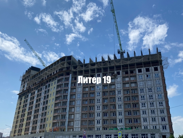 25 мая 2026