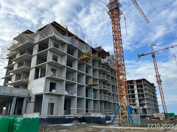 27 октября 2025