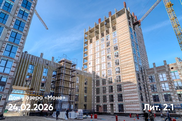 25 февраля 2026