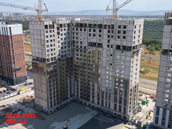 26 августа 2025
