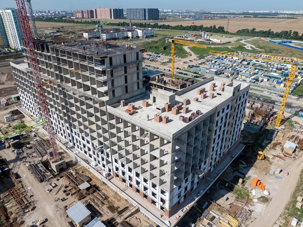 29 июля 2025