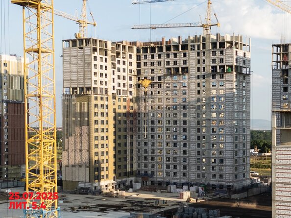 26 июля 2025