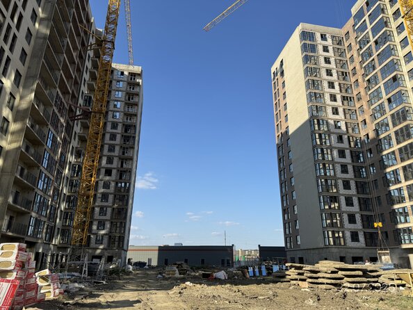24 июля 2025