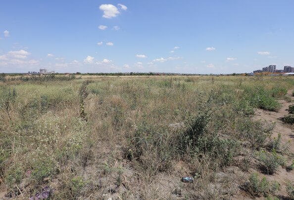 4 августа 2025