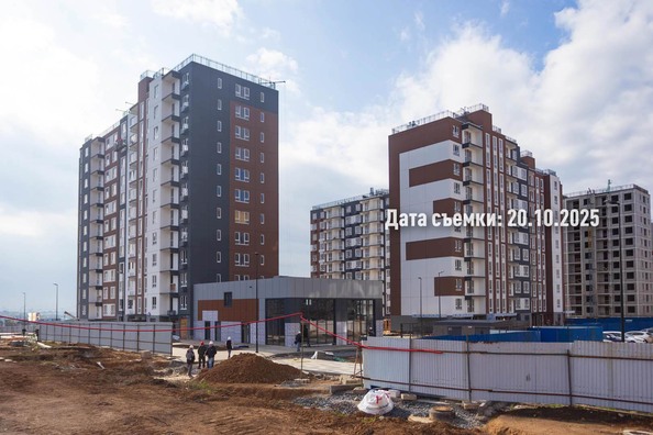 24 октября 2025