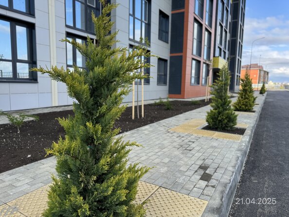 Ход строительства 22 апреля 2025
