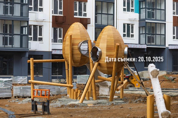 24 октября 2025