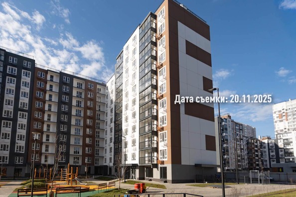 Ход строительства 26 ноября 2025