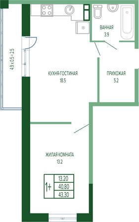 Планировка 1-комн 43, 43,3 м²