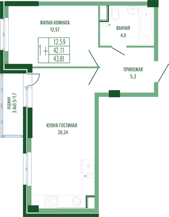 Планировка 1-комн 43,81 м²