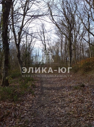 
  Продается земельный участок, 88 соток, село Пляхо
. Фото 14.