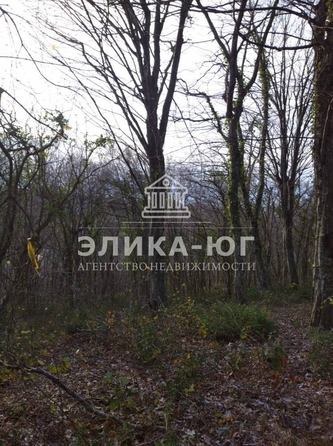 
  Продается земельный участок, 88 соток, село Пляхо
. Фото 18.