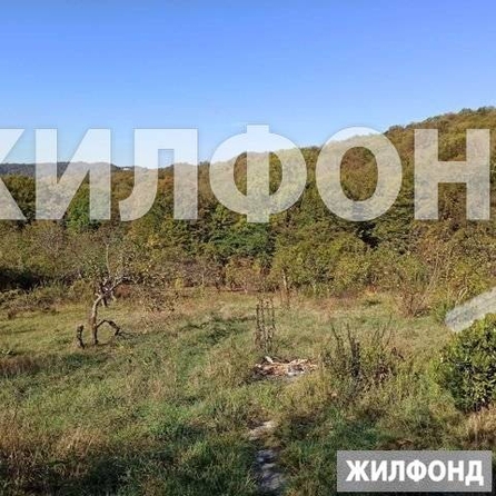 
  Продам  дачный участок Красная Воля

. Фото 3.