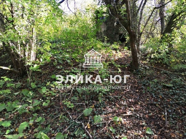 
  Продается земельный участок, 27 соток, село Вольное
. Фото 5.