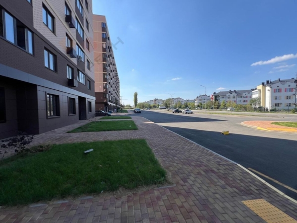 
   Продам помещение свободного назначения, 42.4 м², Скандинавская ул, 1

. Фото 2.