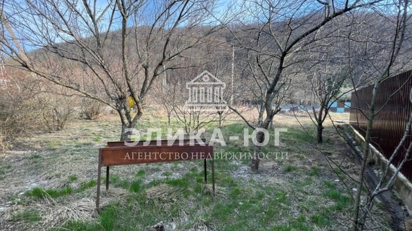 
  Продается земельный участок, 8 соток, село Ольгинка
. Фото 3.