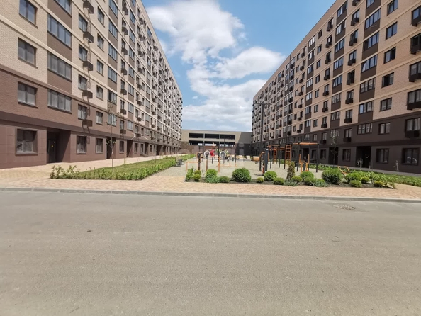 
   Продам помещение свободного назначения, 33.36 м², Скандинавская ул, 1/12

. Фото 1.