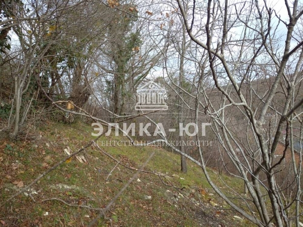 
  Продается земельный участок, 4 сотки, село Пляхо
. Фото 8.