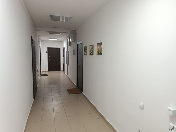 
   Продам 1-комнатную квартира, 54 м², Пионерский пр-кт, 274Б

. Фото 17.