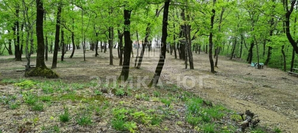 
  Продам  участок ИЖС, 80 соток, Лермонтово

. Фото 5.