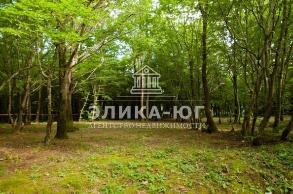 
  Продается земельный участок, 80 соток, село Лермонтово
. Фото 10.