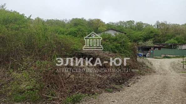 
  Продается земельный участок, 7 соток, село Пляхо
. Фото 5.