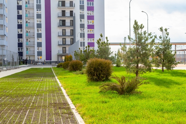 
   Продам помещение, 43.7 м², Акаций ул, 34к2

. Фото 3.