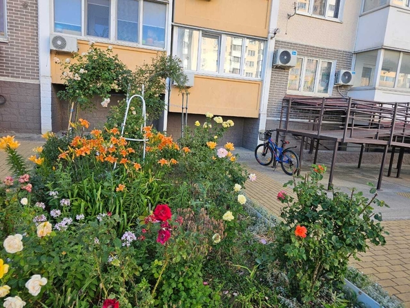 
  Продается студия, 32 м², Супсехское ш, д. 26к10
. Фото 15.