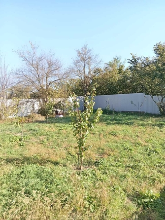 
  Продается дом, 117 м², станица Гостагаевская
. Фото 7.