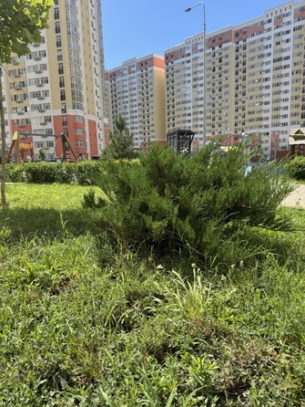 
  Продается 2-комн. квартира, 66 м², Супсехское ш, д. 39к13
. Фото 10.