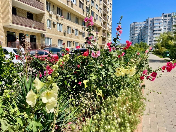 
  Продается студия, 27 м², Владимирская ул, д. 108к2
. Фото 24.