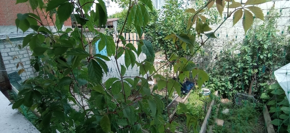 
  Продается 2-комн. квартира, 30 м², Кати Соловьяновой ул, д. 117
. Фото 17.