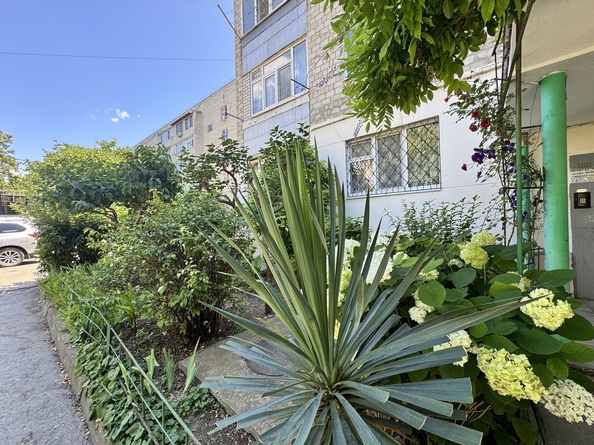 
  Продается 1-комн. квартира, 39 м², Шевченко ул, д. 249
. Фото 18.