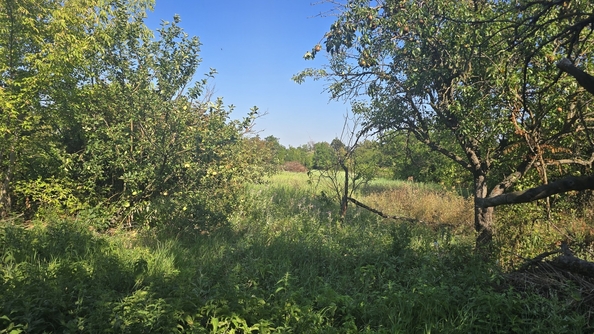 
  Продается дом, 100 м², станица Варениковская
. Фото 24.