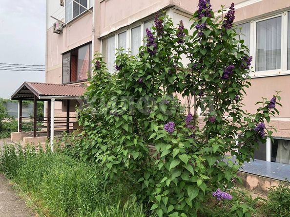 
  Продается студия, 17.8 м², Строителей ул, д. 2
. Фото 12.