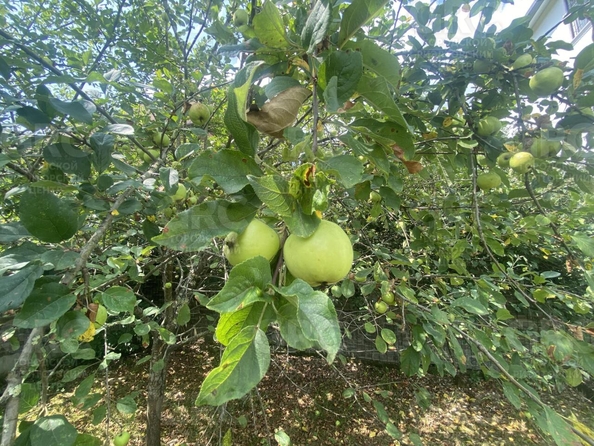 
  Продается дом, 83 м², Сочи
. Фото 12.