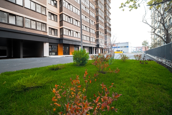 
  Продается 3-комн. квартира 83.3 м², в ЖК Гулливер, литер 1. Фото 24.