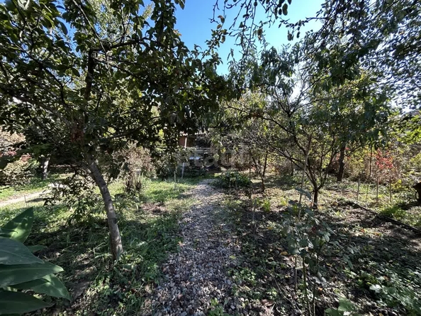 
  Продается дача 50 м². Фото 16.
