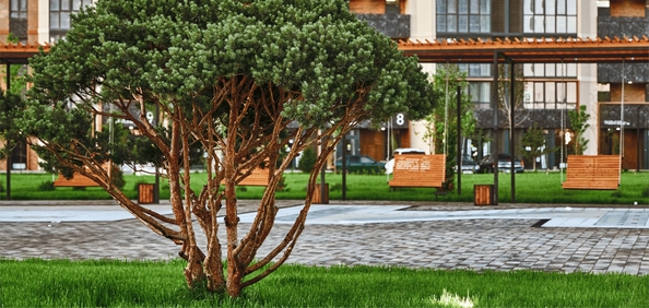 
  Продается 1-комн. квартира 46.67 м², в ЖК Образцово, дом 10. Фото 8.