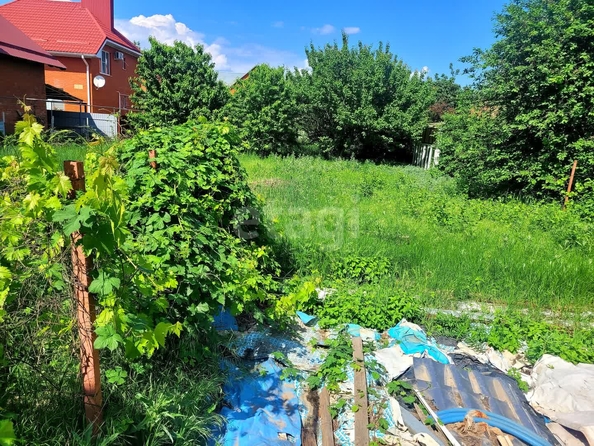 
  Продается земельный участок 8 соток. Фото 5.