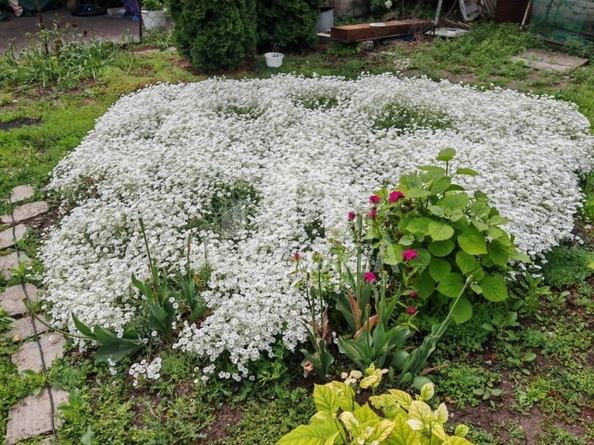 
  Продается земельный участок, 30 соток, Ессентуки
. Фото 6.