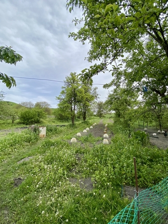
  Продается дом, 83 м², село Юца
. Фото 6.