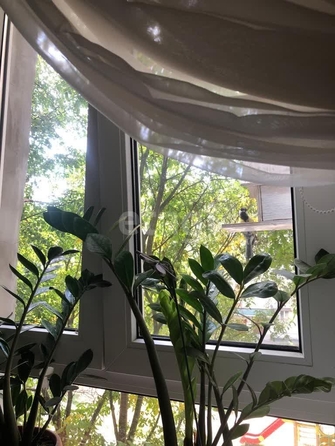 
  Продается 2-комн. квартира 51 м². Фото 16.
