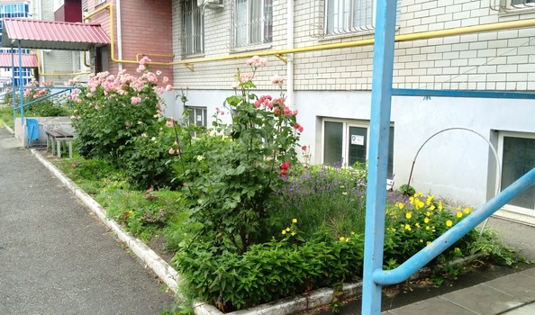 
  Продается 1-комн. квартира 34.6 м². Фото 7.