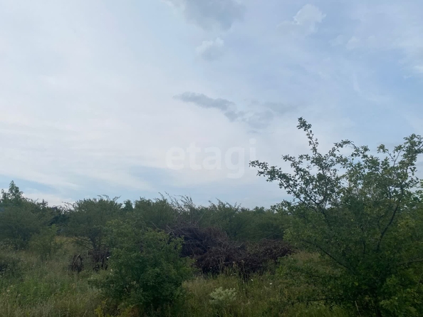
  Продается земельный участок 701 сотка. Фото 4.