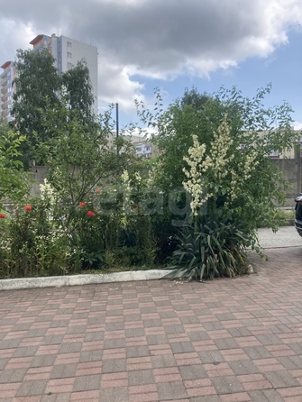 
  Продается студия 23.7 м². Фото 15.