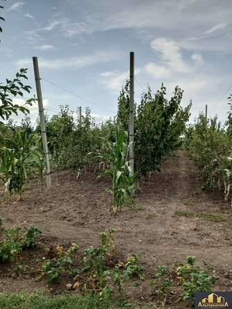 
  Продается дом, 130 м², Ессентуки
. Фото 17.