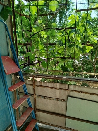 
  Продается 2-комн. квартира 49 м². Фото 6.