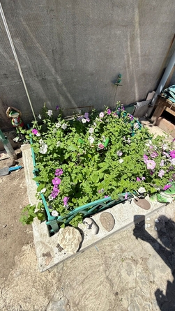 
  Продается дом 43 м². Фото 6.