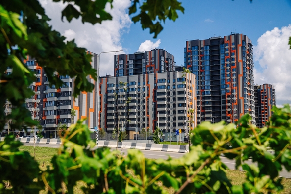 
  Продается студия 23.55 м². Фото 50.